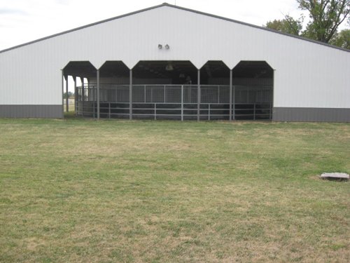 Property photo 19 - 80 Acres Offered in 4 Tracts - Horse Farm